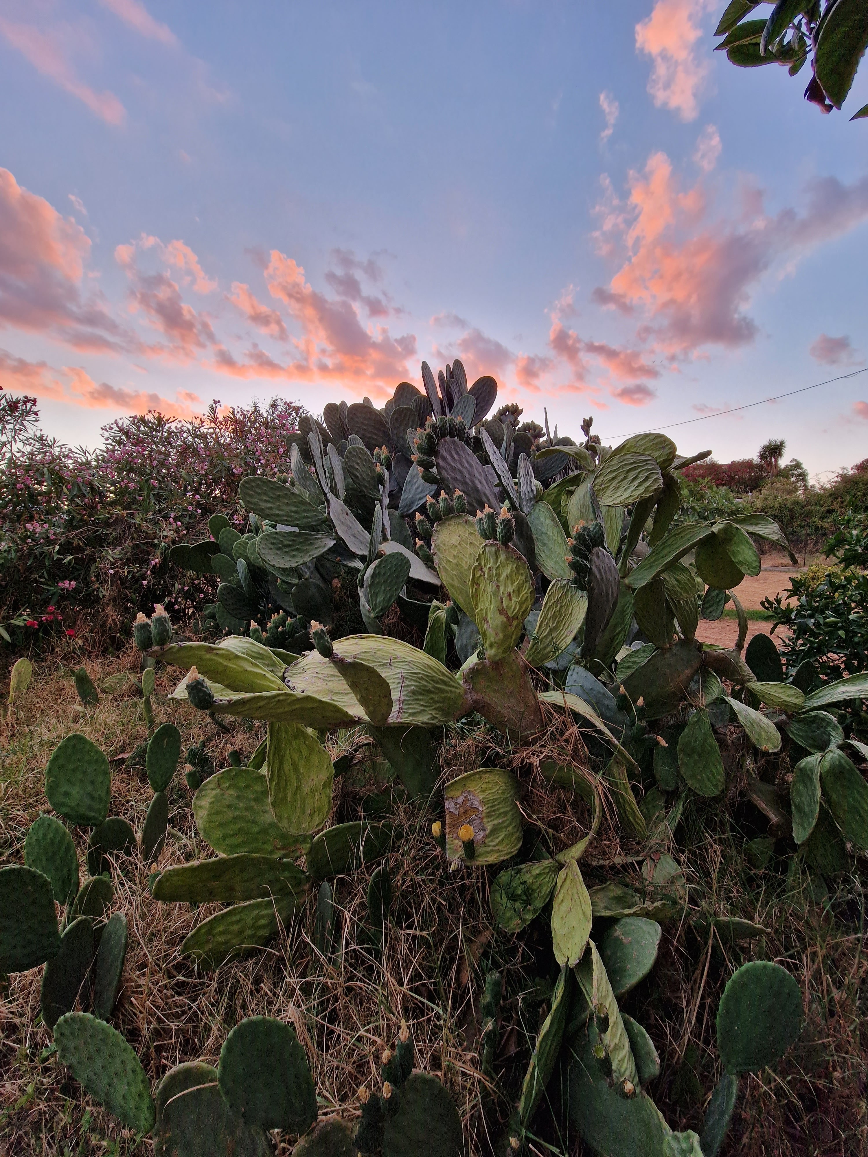 Photo n° 16 de l'avis de Ula.u fait le 09/07/2022 à 12:48