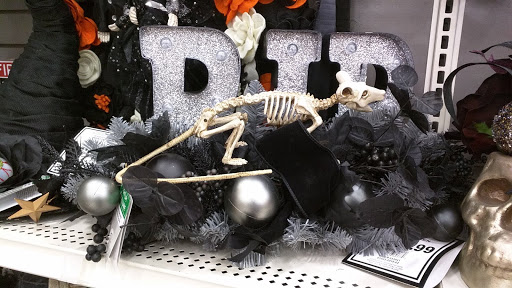 Craft Store «Michaels», reviews and photos, 310 Cbl Dr, St Augustine, FL 32086, USA