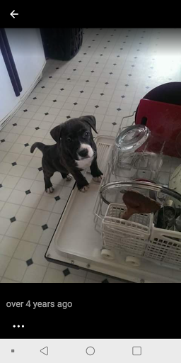 Baby Store «Broadway Babies», reviews and photos, 5764 E Broadway Blvd, Tucson, AZ 85711, USA