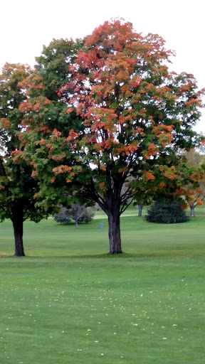 Golf Course «Highland National Golf Course», reviews and photos, 1403 Montreal Avenue, St Paul, MN 55116, USA