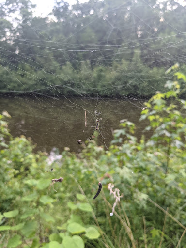 Park «Bogan Park Community Recreation & Aquatic Center», reviews and photos, 2723 N Bogan Rd NE, Buford, GA 30519, USA