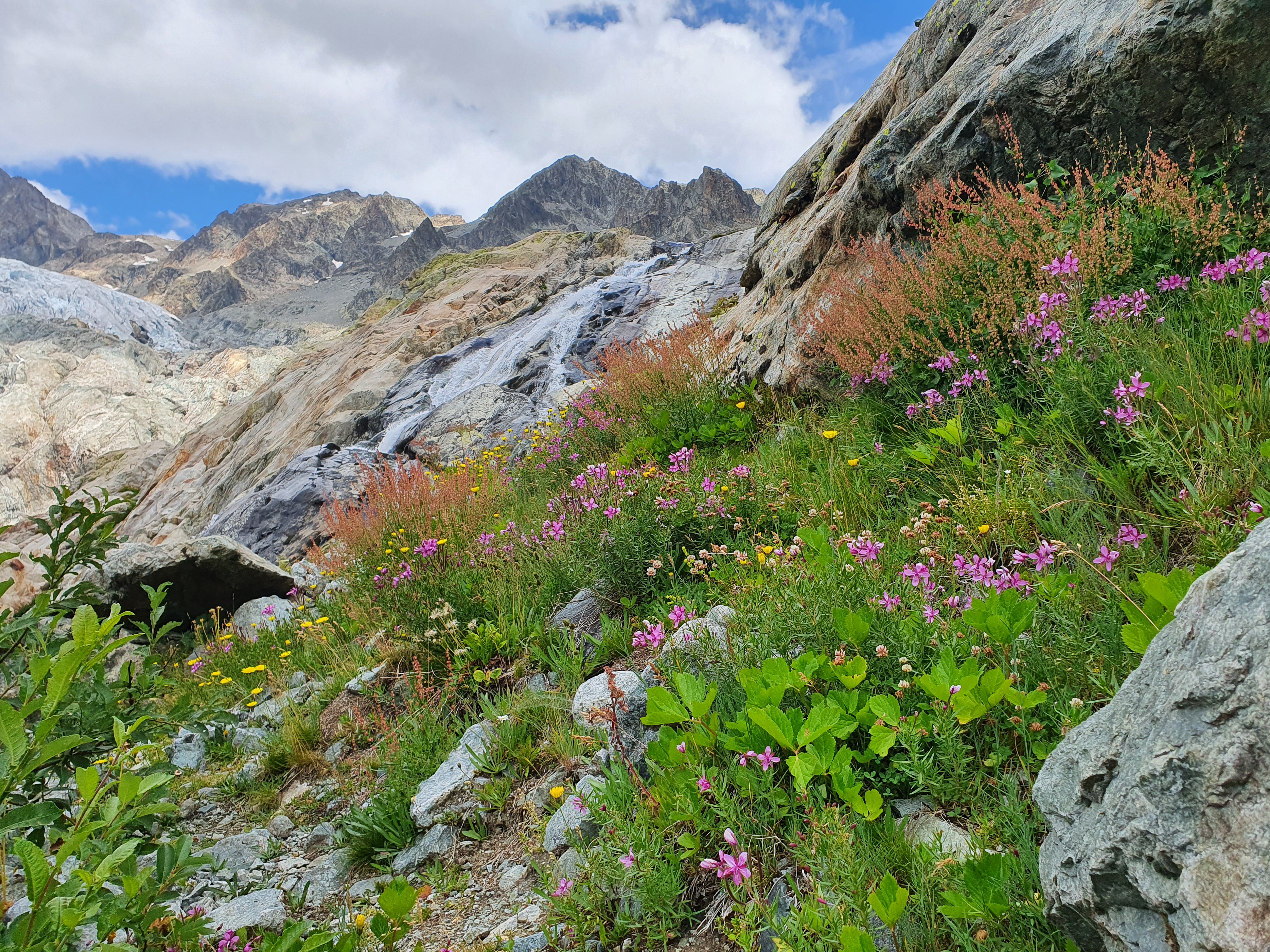 Photo n° 5 de l'avis de Laurent.r fait le 23/08/2020 à 16:09