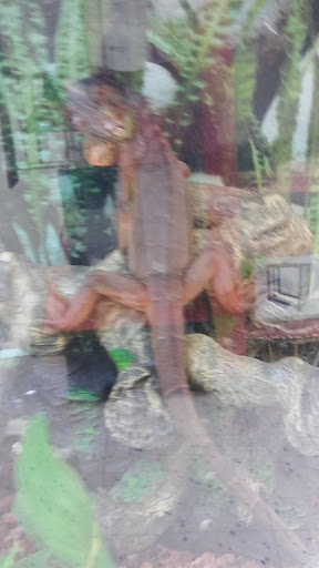 Pet Supply Store «Petco Animal Supplies», reviews and photos, 6595 N Illinois St, Fairview Heights, IL 62208, USA