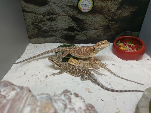 Pet Supply Store «Petco Animal Supplies», reviews and photos, 6137 Mid Rivers Mall Dr, St Charles, MO 63304, USA