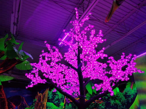 Laser Tag Center «Zap Zone Glo-Golf», reviews and photos, 41953 Ford Rd, Canton, MI 48187, USA