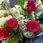 Photo n° 1 de l'avis de Anais.a fait le 08/04/2023 à 17:00 pour A FLEUR DE POT à Brignais