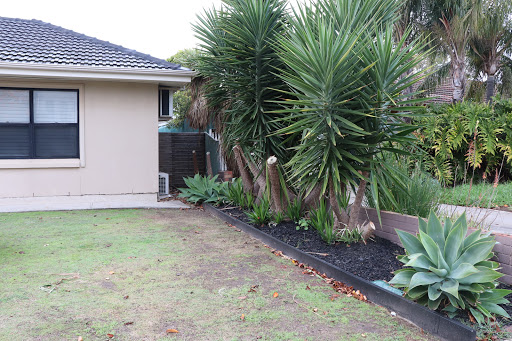 All Out Tree Removal Adelaide | Stump Removal | Tree Pruning