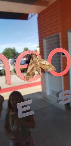 Pet Supply Store «Petco Animal Supplies», reviews and photos, 6025 Kruse Dr #159, Solon, OH 44139, USA