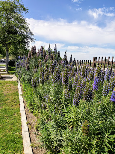 Park «Cañada Vista Park», reviews and photos, 24328 Antonio Pkwy, Rancho Santa Margarita, CA 92688, USA