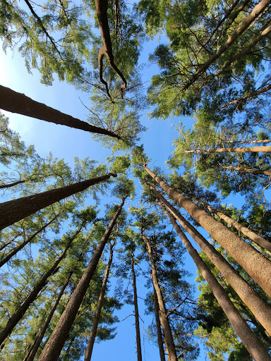 State Park «Cochituate State Park», reviews and photos, 43 Commonwealth Rd, Natick, MA 01760, USA