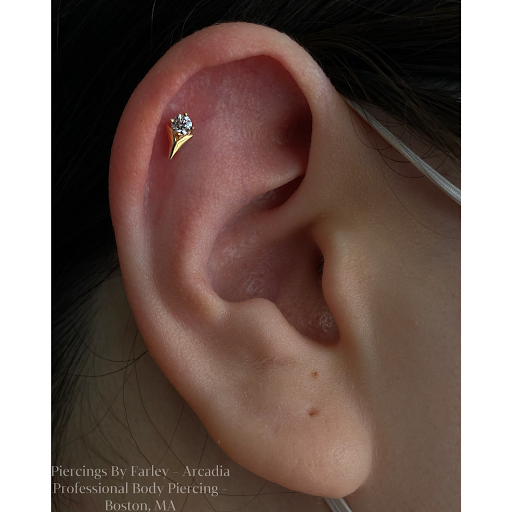 Explore men's neck tattoo ideas, creative tattoo ideas in Boston, available at Arcadia Body Piercing