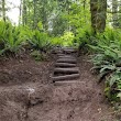 Cable Line Trailhead