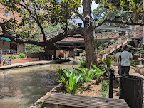 Marriage Island - Photo 8 - Car repair in San Antonio, TX, San Antonio