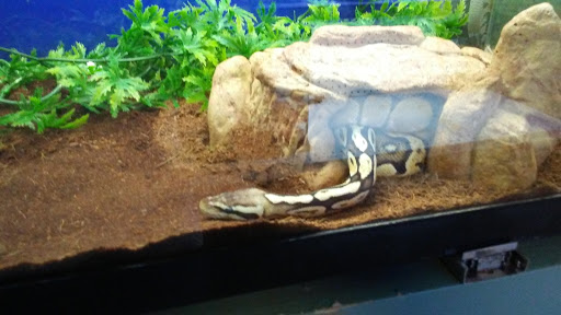 Pet Store «Pet Cove», reviews and photos, 820 E Center St, Kingsport, TN 37660, USA