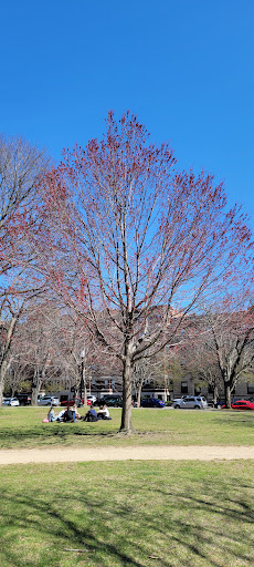 Art Museum «Isabella Stewart Gardner Museum», reviews and photos, 25 Evans Way, Boston, MA 02115, USA
