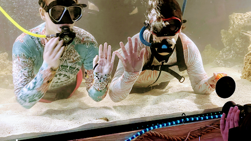 Aquarium «Team ECCO Ocean Center & Aquarium», reviews and photos, 511 N Main St, Hendersonville, NC 28792, USA