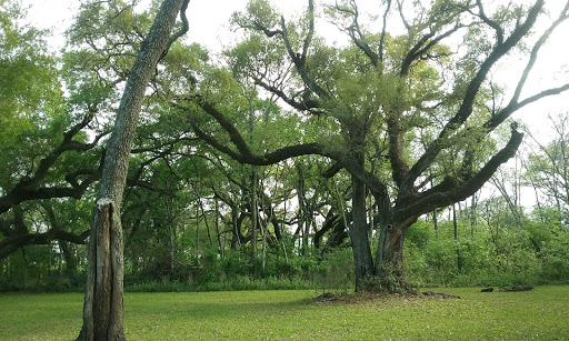 Golf Course «Austin Bayou Golf Course and RV Park», reviews and photos, 2111 County Rd 33, Danbury, TX 77534, USA