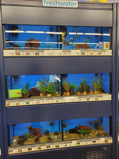 Pet Supply Store «Petco Animal Supplies», reviews and photos, 664 New Loudon Rd #240, Latham, NY 12110, USA