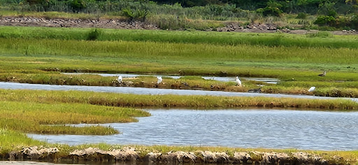 State Park «Belle Isle Marsh Reservation», reviews and photos, Bennington St, East Boston, MA 02128, USA
