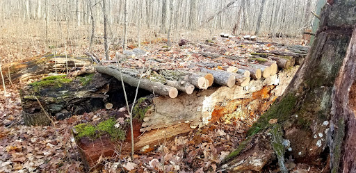 Nature Preserve «Sutherland Nature Sanctuary», reviews and photos, 3998 Diehl Rd, Metamora, MI 48455, USA