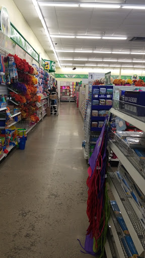 Dollar Store «Dollar Tree», reviews and photos, 1044 S Main St, Chelsea, MI 48118, USA