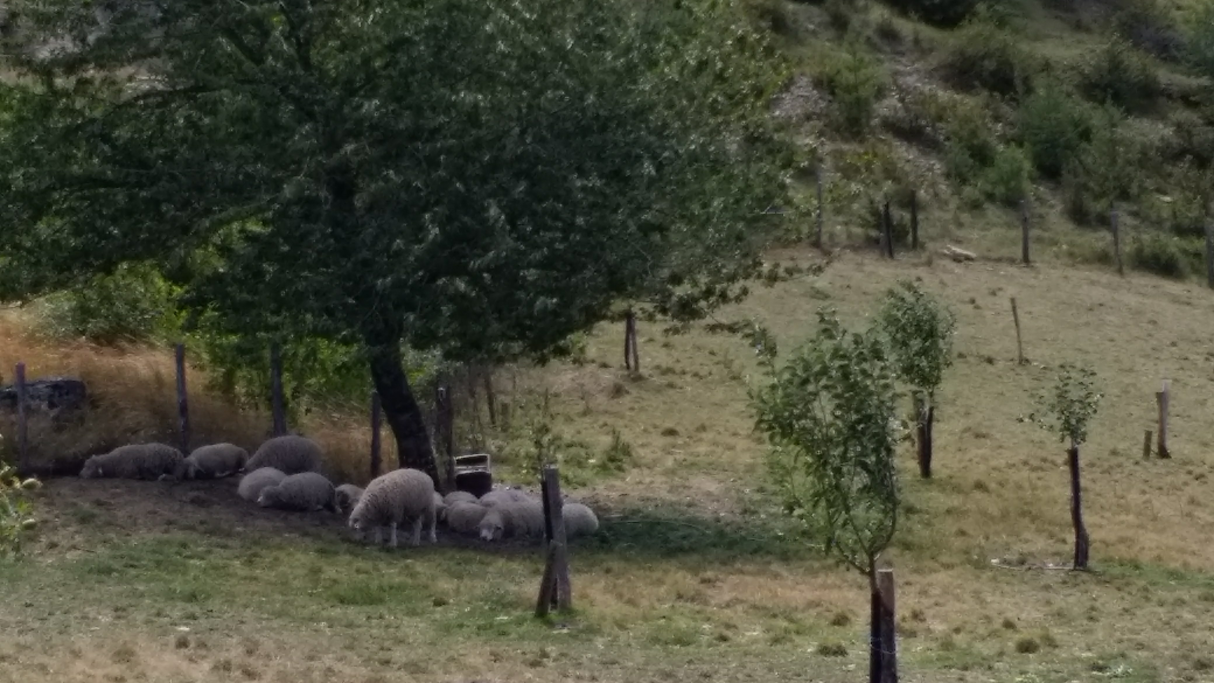 Photo n° 1 de l'avis de Mp.4 fait le 01/08/2017 à 17:04