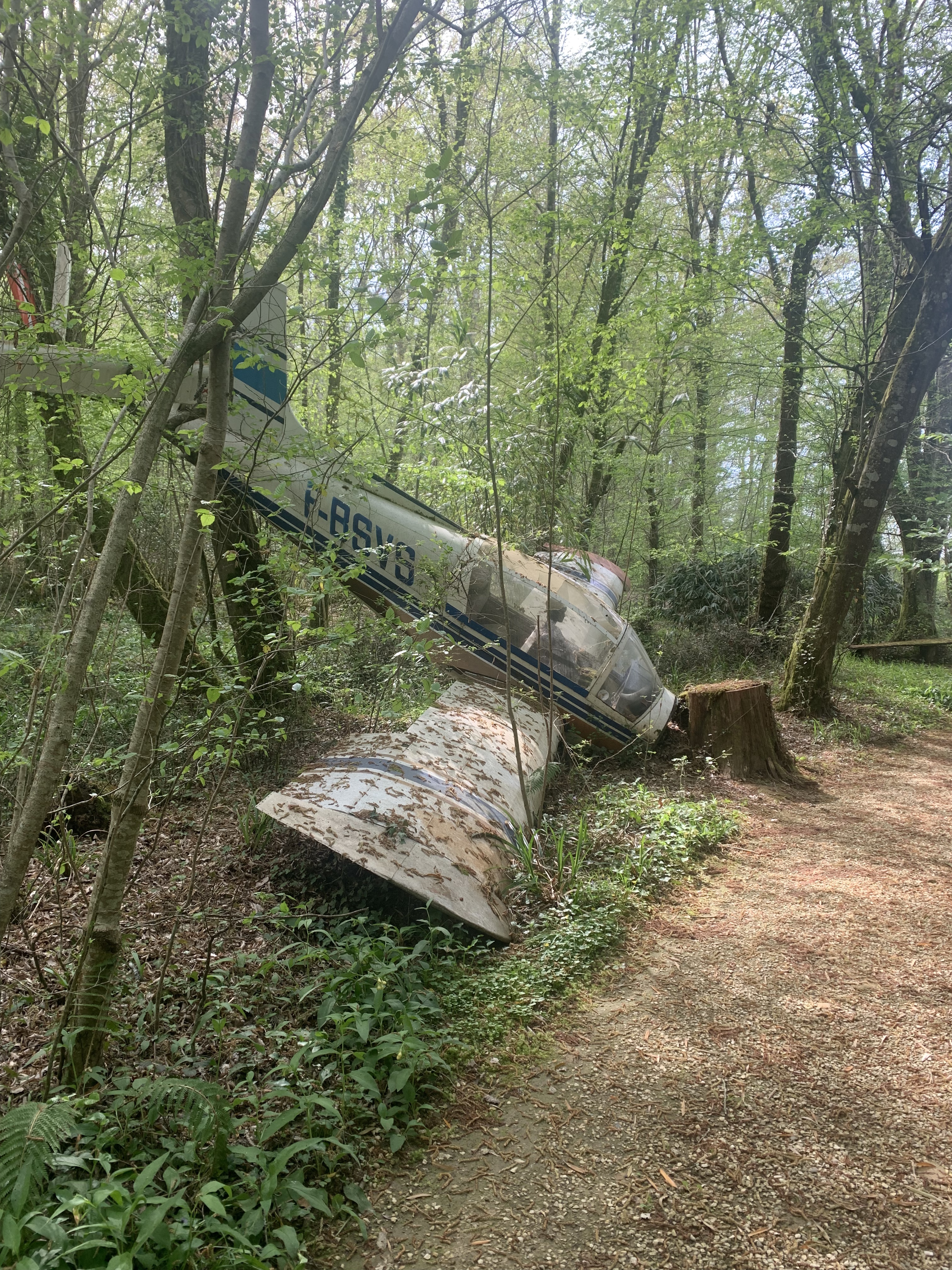 Photo n° 2 de l'avis de Marc.e fait le 11/04/2023 à 12:52