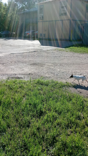 Park «Buckner Park», reviews and photos, 4550 Worth St, Dallas, TX 75246, USA