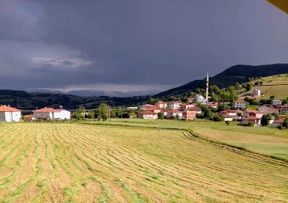 Tepsi Ev Yemekleri