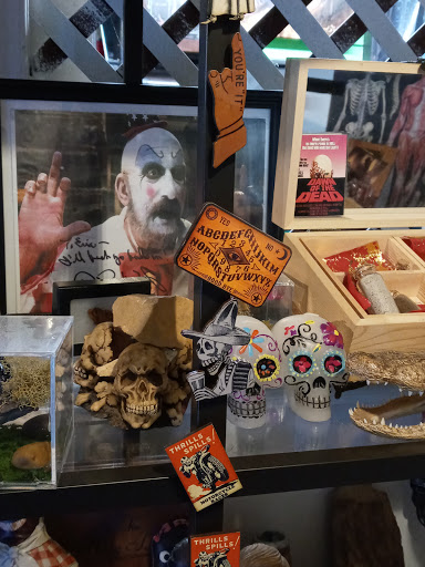 Explore tattoo ideas for womens, creative tattoo ideas in Muncie, available at Obscura Tattoo shop and Oddity Collective