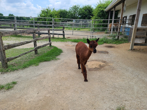 Farm «Painted Sky Alpaca Farm & Fiber Mill», reviews and photos, 95 Knight House Ln, Earleville, MD 21919, USA