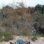 Photo n°2 de l'avis de Harald.r fait le 30/09/2023 à 19:02 sur le  Seehotel Düne à Graal-Müritz