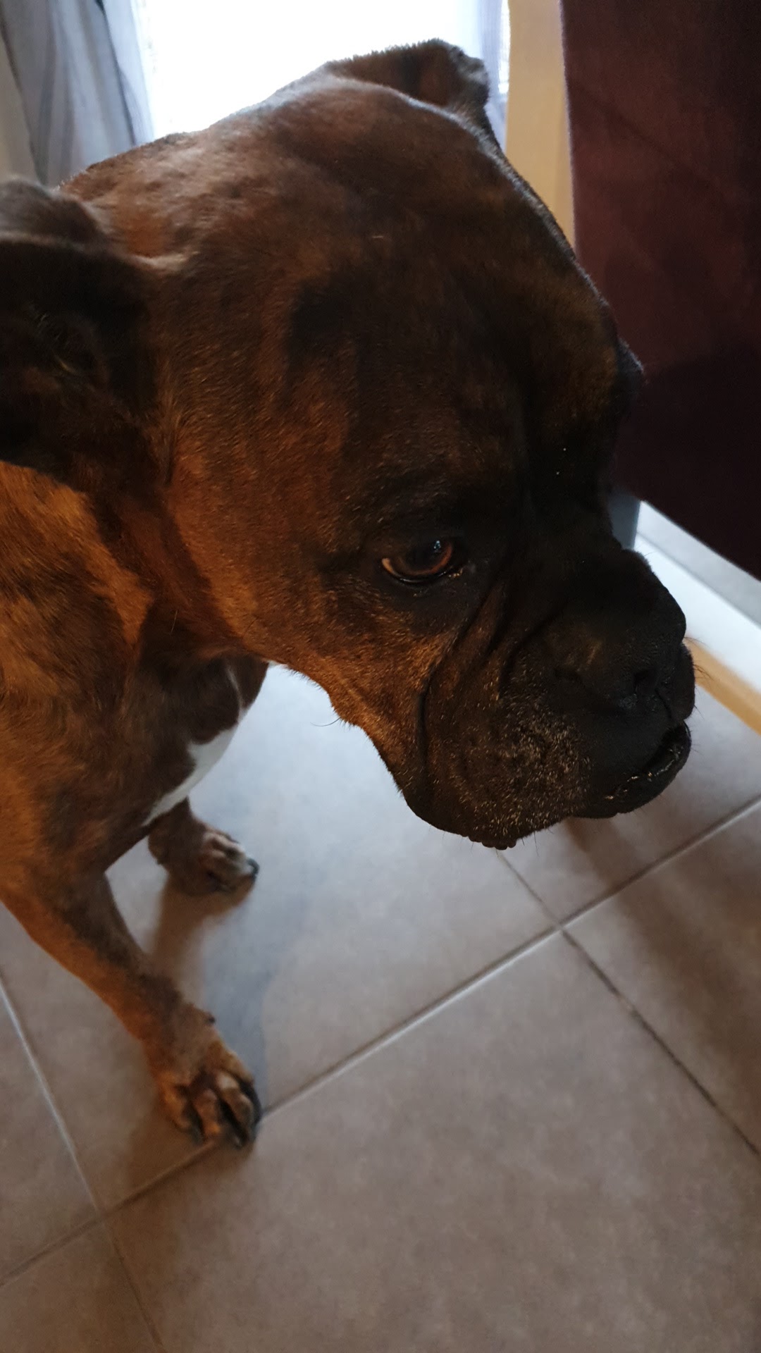 Photo n° 1 de l'avis de Nath. fait le 31/12/2019 à 15:16