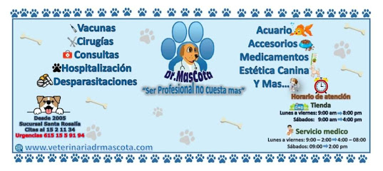 Veterinaria Dr Mascota Santa Rosalía
