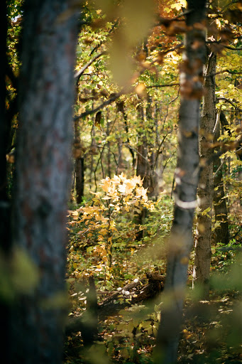 Nature Preserve «Kokiwanee Nature Preserve», reviews and photos, 5825 E 50 S, Lagro, IN 46941, USA