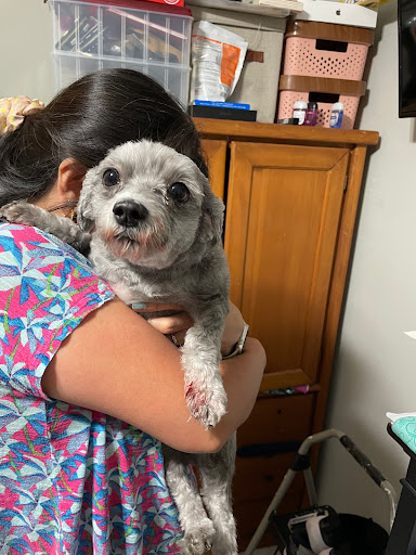 Pet Care Center image