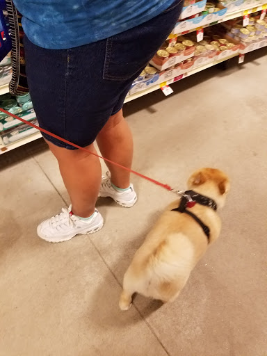 Pet Supply Store «PetSmart», reviews and photos, 475 Bank St, Waterbury, CT 06708, USA