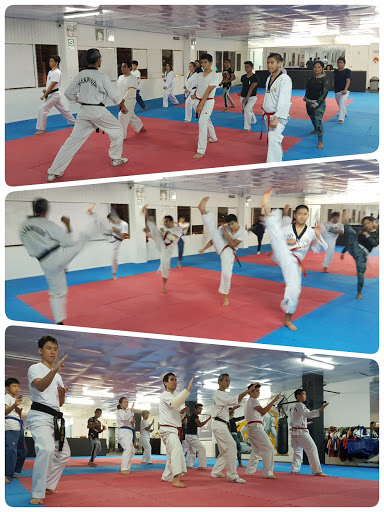Academia de Taekwondo YOUNG GI
