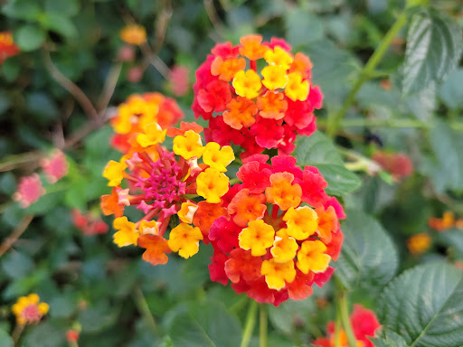 Park «Van Der Donck Park», reviews and photos, 41 Dock St, Yonkers, NY 10701, USA