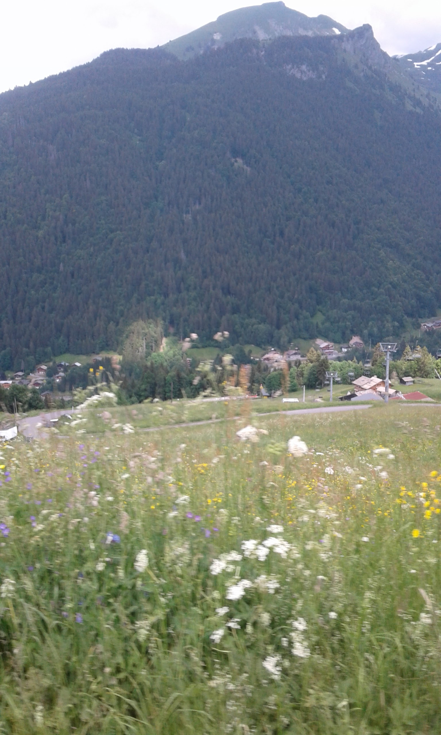 Photo n° 2 de l'avis de Cherzad.r fait le 24/06/2018 à 20:16