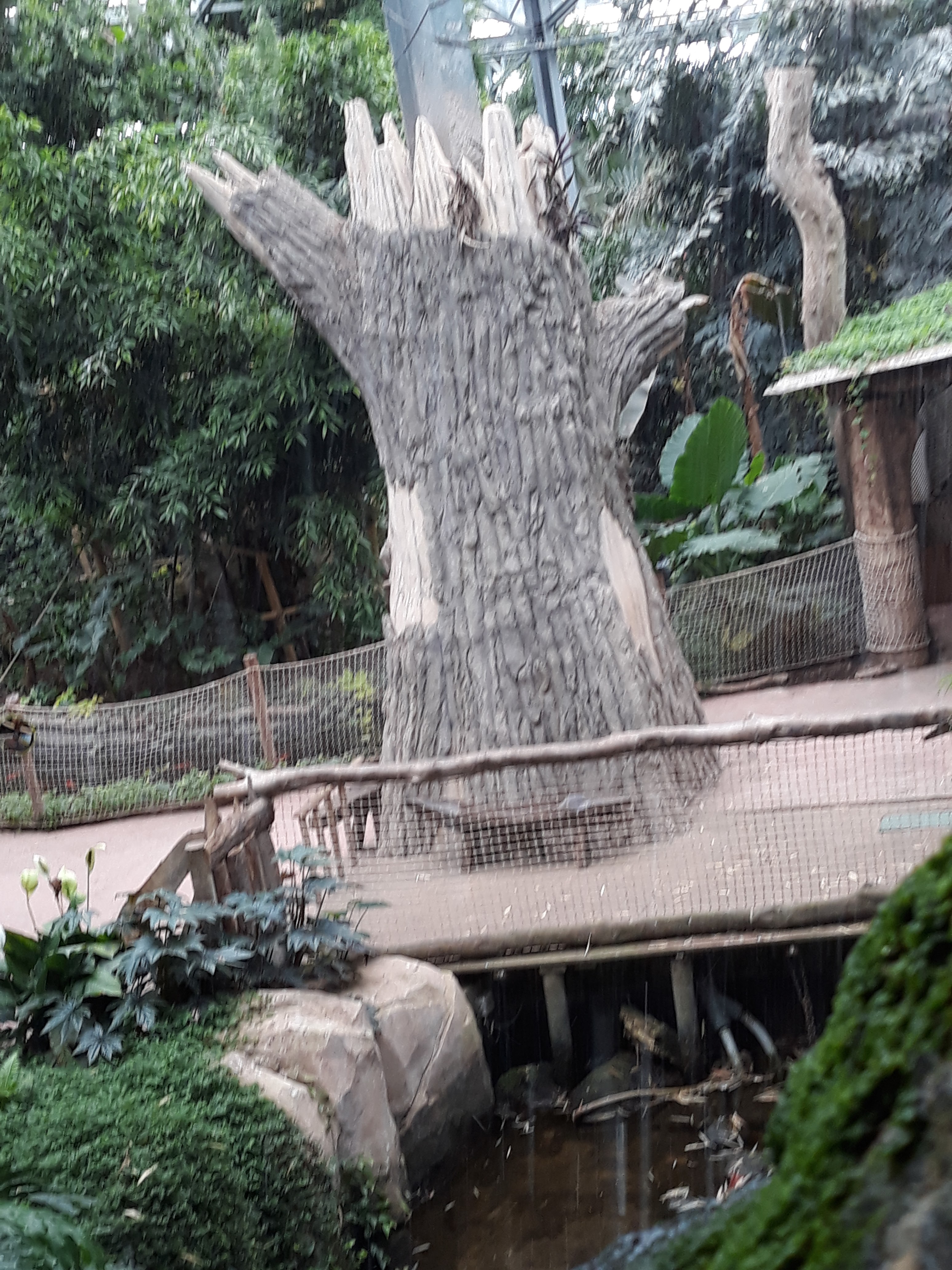 Photo n° 16 de l'avis de Estelle.o fait le 09/08/2018 à 10:25