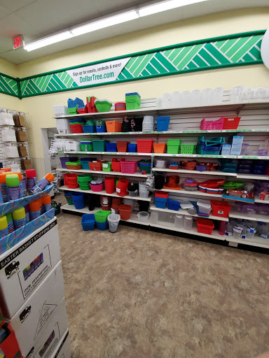 Dollar Store «Dollar Tree», reviews and photos, 16425 County Rd 30, Maple Grove, MN 55311, USA