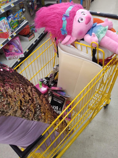 Discount Store «Dollar General», reviews and photos, 610 Bristol Pike, Bristol, PA 19007, USA