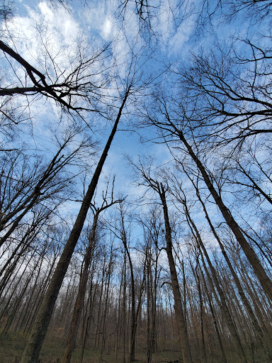 Nature Preserve «Burnett Woods», reviews and photos, 8264 E County Rd 100 S, Avon, IN 46123, USA