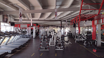 Sky Gym - Río Extoras 3-Int 8, San Cayetano, 76806 San Juan del Río, Qro., Mexico