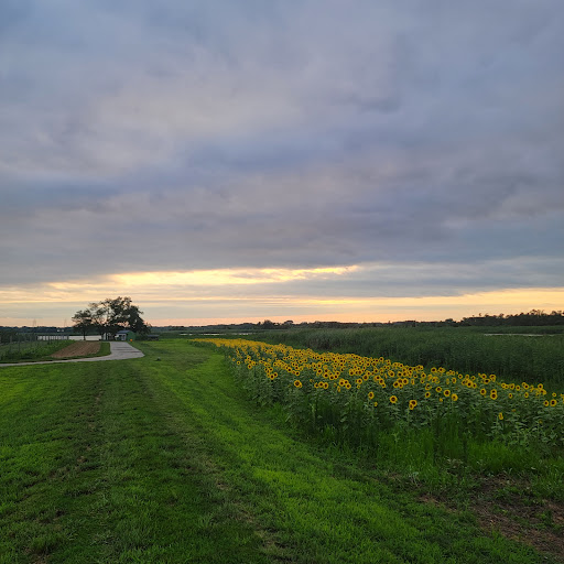 Wedding Venue «Thousand Acre Farm», reviews and photos, 260 Reedy Point Rd, Middletown, DE 19709, USA