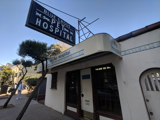 Animal Hospital «Blue Cross Pet Hospital», reviews and photos