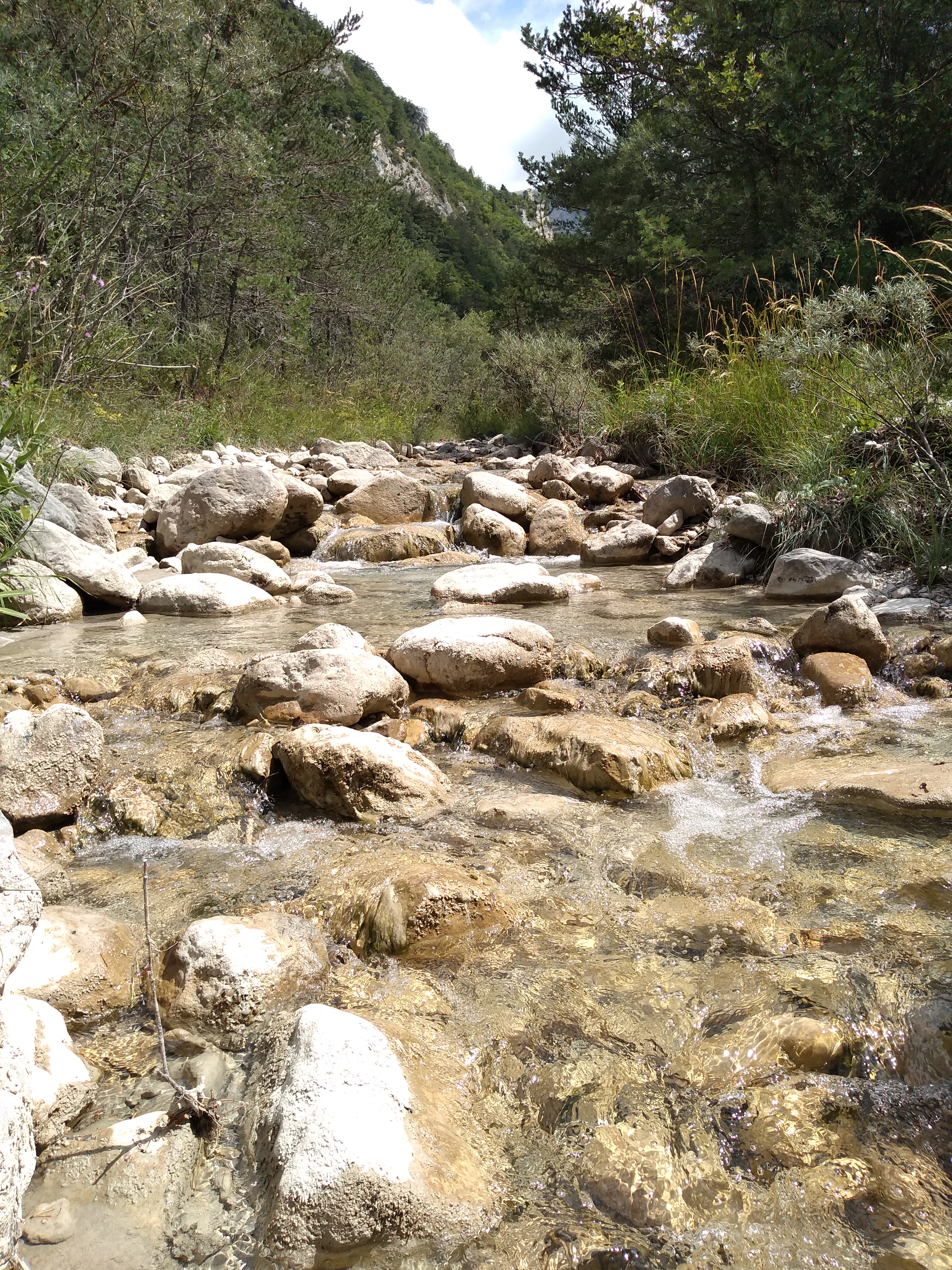 Photo n° 3 de l'avis de Philippe.a fait le 14/08/2019 à 15:02