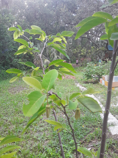 Farm «Sweetwater Organic Community Farm», reviews and photos, 6942 W Comanche Ave, Tampa, FL 33634, USA