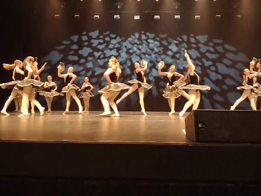 Performing Arts Theater «Alan Jay Wildstein Center for the Performing Arts», reviews and photos, 600 W College Dr, Avon Park, FL 33825, USA